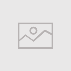 Professional Learning