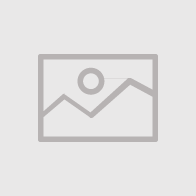 Professional Learning