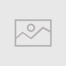 Professional Learning